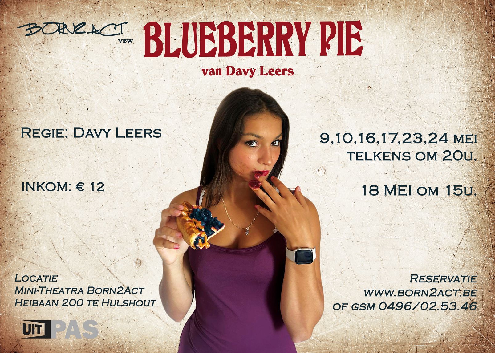 Blueberry Pie